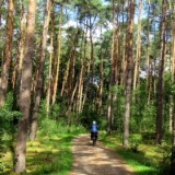 2508G 29 Aller Radweg